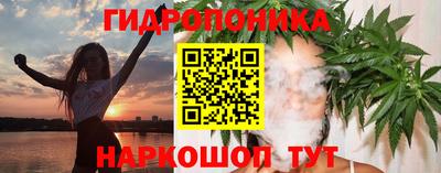 крисы Можайск