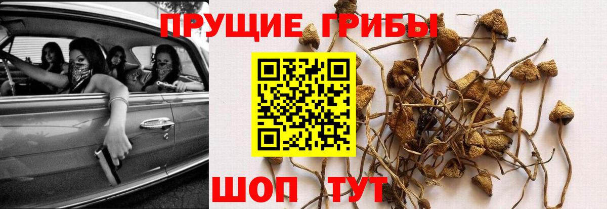 Серов  Галлюциногенные грибы мухоморы  Вход с VPN 